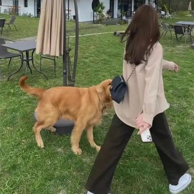 甜蜜池畔